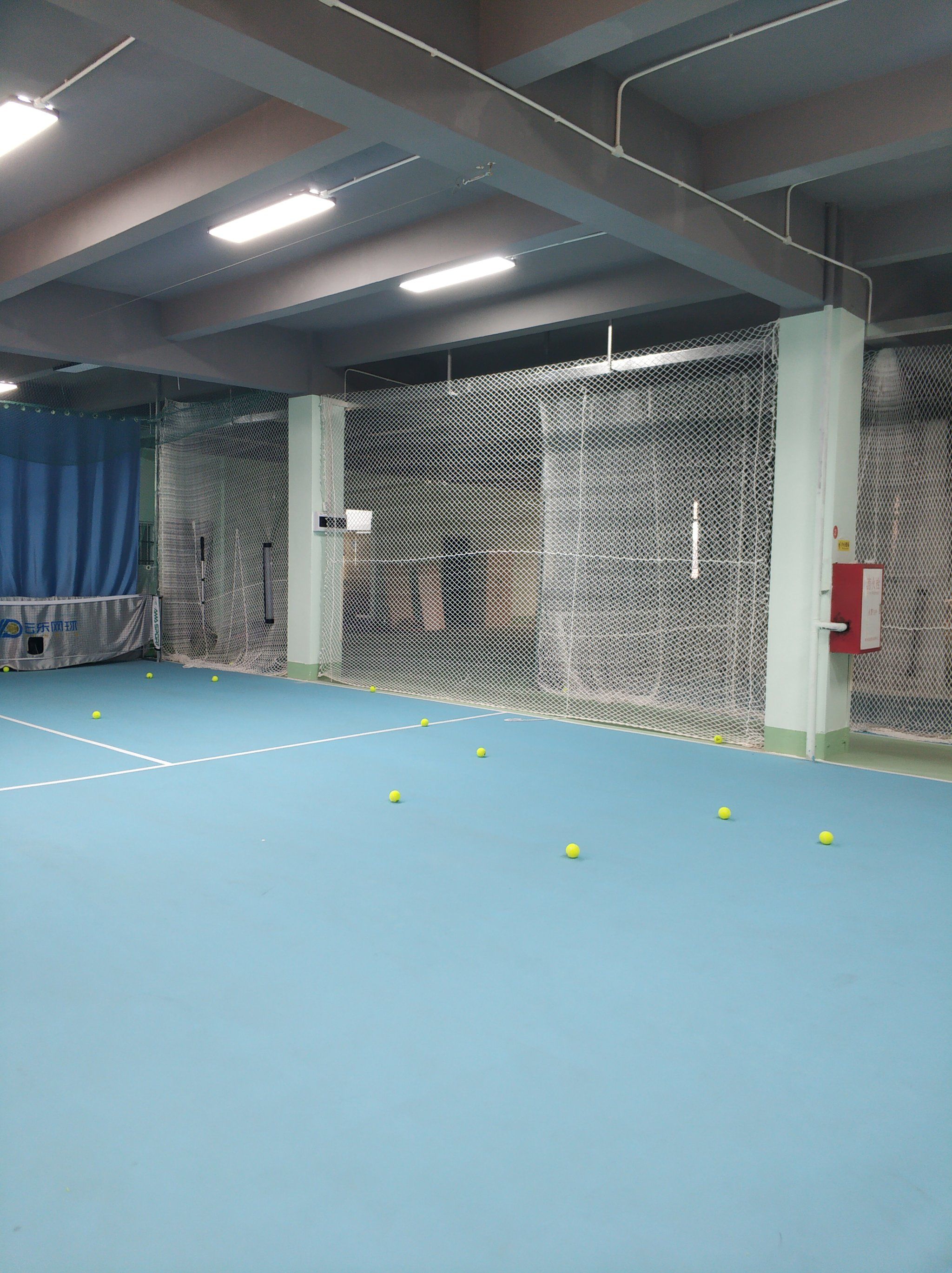 加里斯的历 加里斯的历