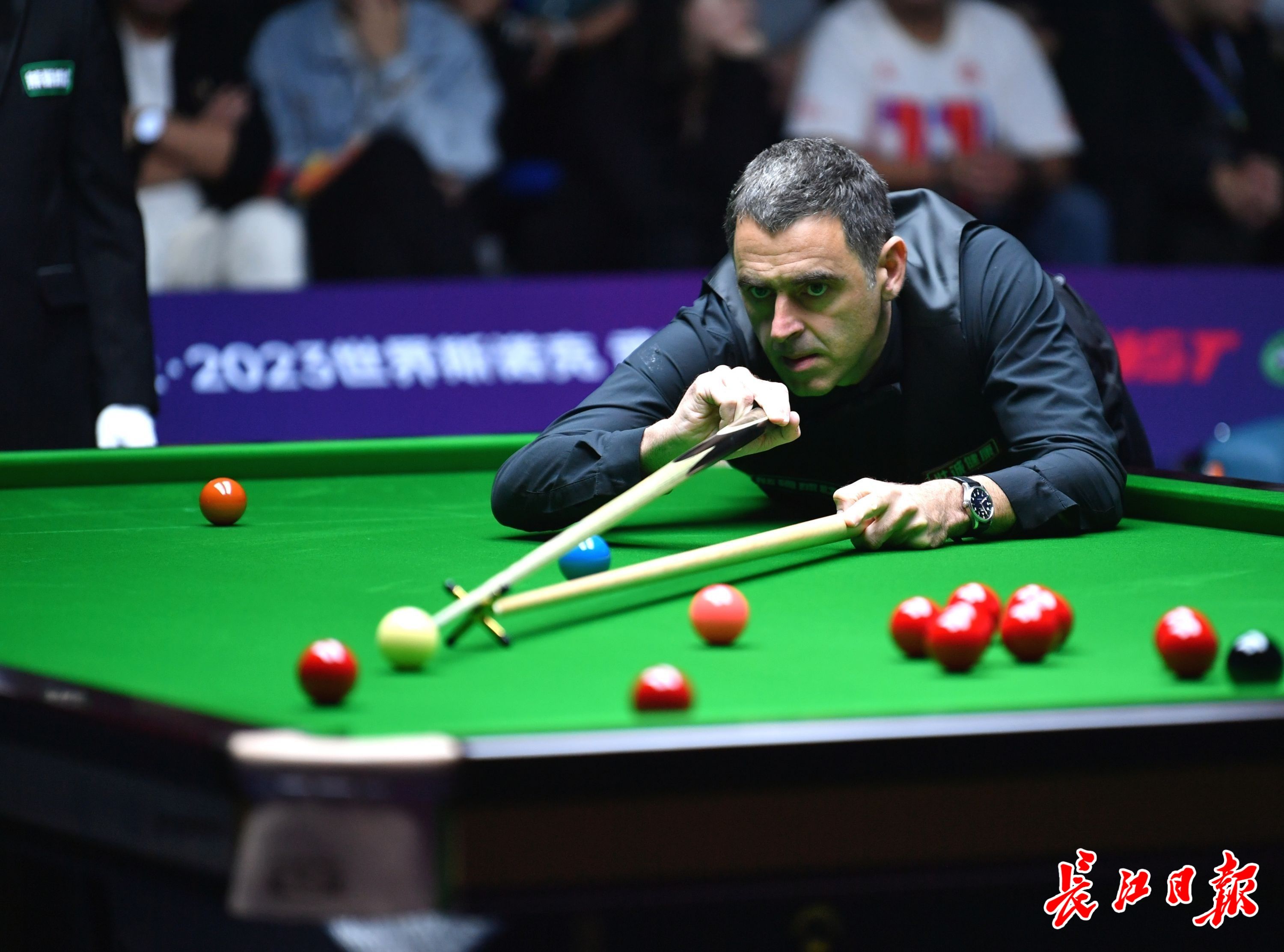 绝对优势 绝对优势