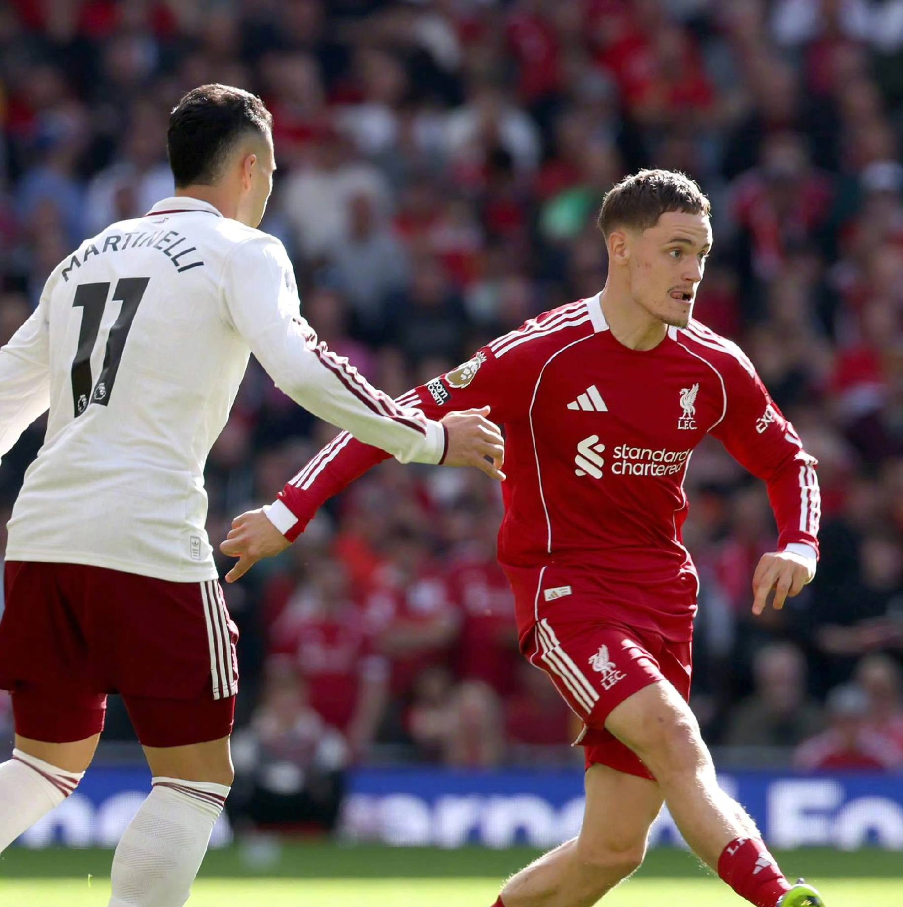 不仅展现了 不仅展现了